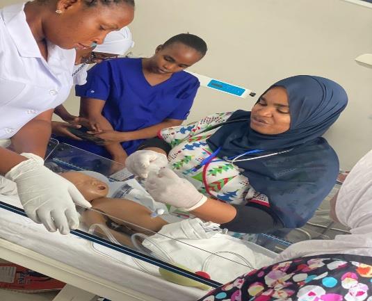NNAT facilitators demonstrating neonatal care skills during mentorship